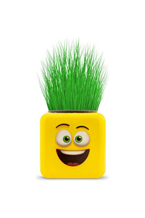 Kız Erkek Çocuk Eğlenceli Oyuncaklar Sarı Emoji Çim Adam