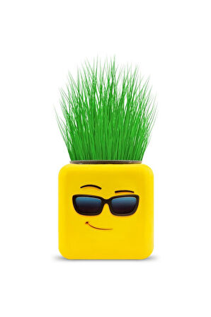 Kız Erkek Çocuk Eğlenceli Oyuncaklar Sarı Emoji Çim Adam