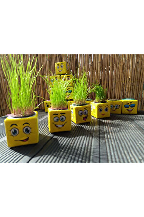 Kız Erkek Çocuk Eğlenceli Oyuncaklar SARI KÜP ÇİMADAM 29Adet DOĞUM GÜNÜ ANA SINIFI ETKİNLİK