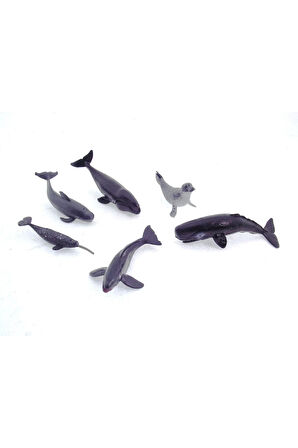 Kız Erkek Çocuk Oyuncak Model Memeli Deniz Hayvanları Kız Erkek Çocuk Oyuncak Eğitici Oyuncaklar