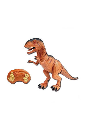 Kız Erkek Çocuk Oyuncak Sunman Infrared Kumandalı Sesli ve Işıklı Hareketli Dinozor Kız Erkek Çocuk