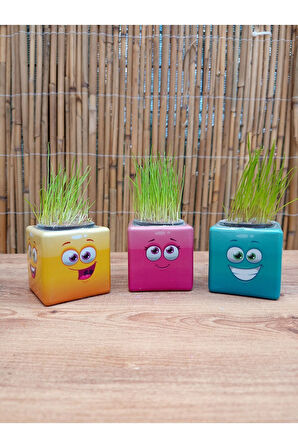 Kız Erkek Çocuk Eğlenceli Oyuncaklar Yeni Küp Çim Adam 26Adet Doğum Günü Hediyelik Çim Adam Kreş Akt