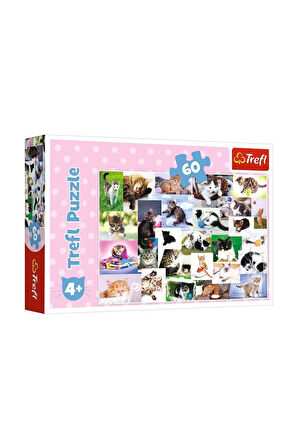 Kız Erkek Çocuk Oyuncak 17332 Trefl/60 PUZZLE CATS WORLD YAPBOZ Kız Erkek Çocuk Oyuncak Eğitici Oyun
