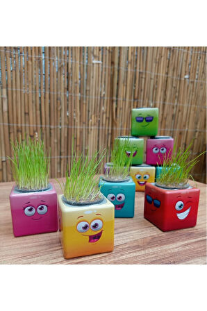 Kız Erkek Çocuk Eğlenceli Oyuncaklar Wren Shop 30Adet Emoji Figür Midi Küp Çim Adam Doğum Günü Ve Öz