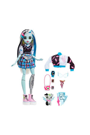 Kız Erkek Çocuk Oyuncak Monster High Ana Karakter Bebekler HPD53 Kız Erkek Çocuk Oyuncak Eğitici Oyu