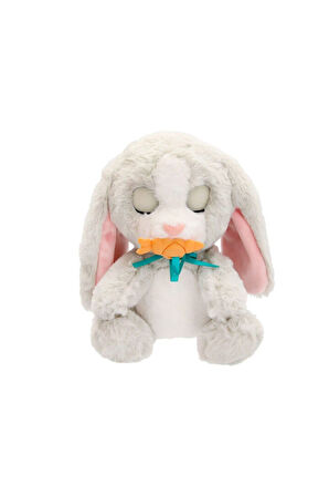 BAW02000 Baby Paws Sesli Tavşan 20cm Peluş Kız Erkek Çocuk Oyuncak Eğitici Oyuncaklar