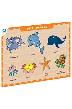 CAAHS-3212 CA GAMES AHŞAP DENİZ HAYVANLARI BUL-TAK Kız Erkek Çocuk Oyuncak Eğitici Oyuncaklar