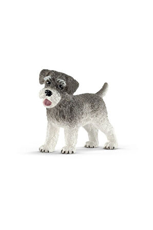 13892 Schleich - Minyatür Schnauzer +3 yaş Kız Erkek Çocuk Oyuncak Eğitici Oyuncaklar