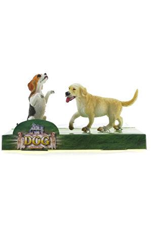 Beagle ve Labrador Retrieve Model Hayvan Köpek Kız Erkek Çocuk Oyuncak Eğitici Oyuncaklar