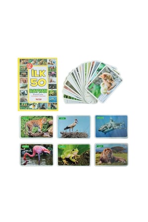 1352 Flash Cards İlk 50 Hayvan Kız Erkek Çocuk Oyuncak Eğitici Oyuncaklar