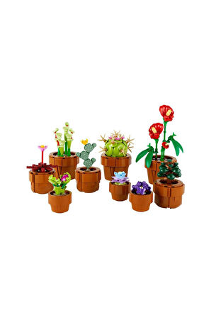 10329 Lego Botanical Collection - Minik Bitkiler 753 parça +18 yaş Kız Erkek Çocuk Oyuncak Eğitici O
