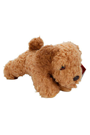 Cockapoo Peluş Köpek 25cm Kız Erkek Çocuk Oyuncak Eğitici Oyuncaklar