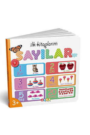 7202 Dıytoy, İlk Kitaplarım 6'lı Set - D07.0.7202 Kız Erkek Çocuk Oyuncak Eğitici Oyuncaklar