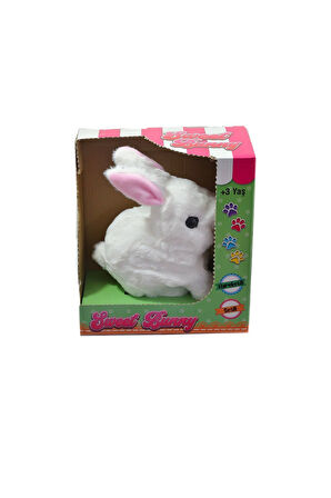 40098 Tavşan Peluş Pilli-Aya Toys Kız Erkek Çocuk Oyuncak Eğitici Oyuncaklar