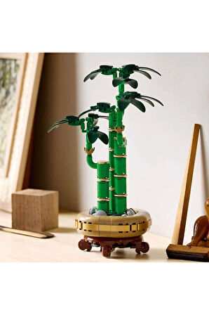 LEGO Botanicals Şans Bambusu 10344 Kız Erkek Çocuk Oyuncak Eğitici Oyuncaklar