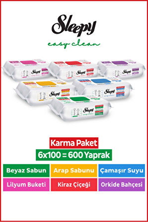 Sleepy Easy Clean Yüzey Temizlik Havlusu & Mendili 6x100 Karma Paket