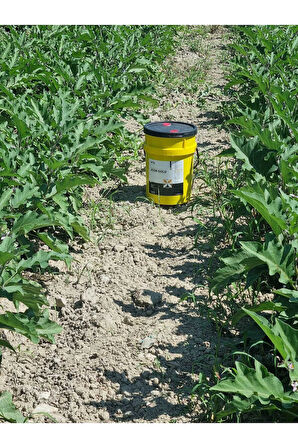 Ucon Gold Meyve / Sebze Büyütücü