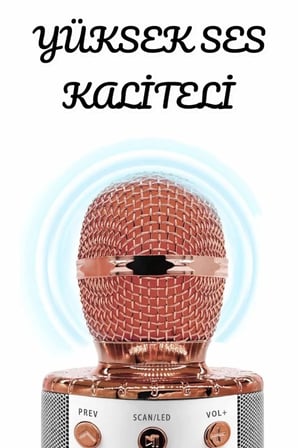 Şarjlı ve Uzun Pil Ömürlü Karaoke Mikrofon USB Bellek Destekli, Profesyonel Ses