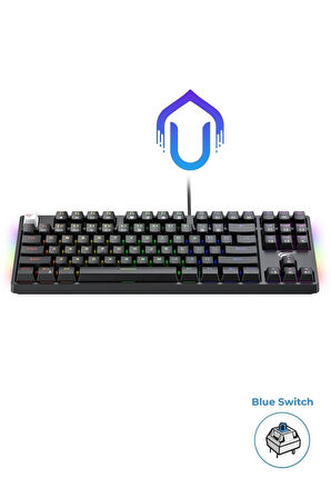 Havit Gamenote KB890L Arkadan Aydınlatmalı Gaming Türkçe Q Klavye Blue Switch
