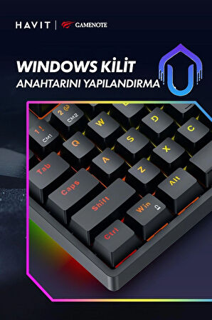 Havit Gamenote KB890L Arkadan Aydınlatmalı Gaming Türkçe Q Klavye Blue Switch