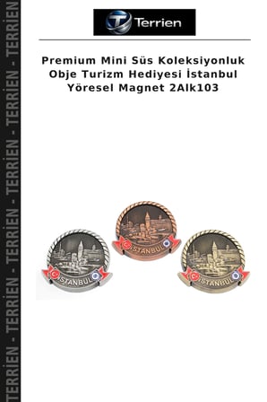 Premium Mini Süs Koleksiyonluk Obje Turizm Hediyesi İstanbul Yöresel Magnet 2Alk103