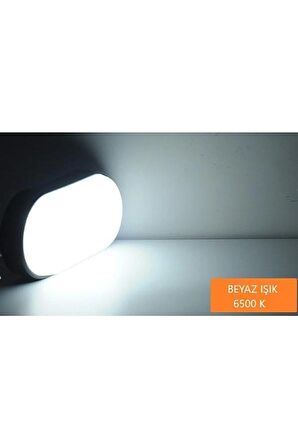 Banyo Tavan Lambası Aydos 20W Oval Siyah Balkon Tavan Lambası 6400K Beyaz LED Işık Teras Duvar Lambası