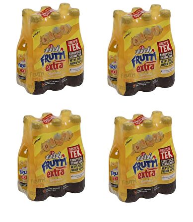 Uludağ Frutti Extra Kavunlu 250 Ml X 24 Adet