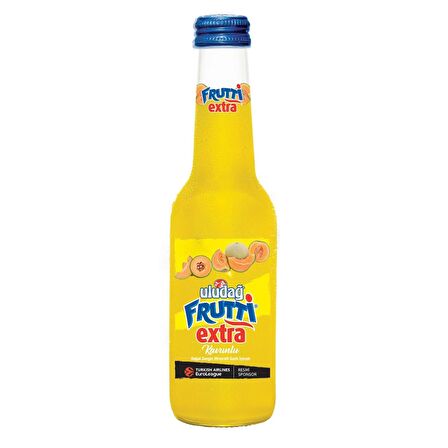 Uludağ Frutti Extra Kavunlu 250 Ml X 24 Adet