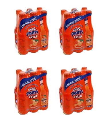 Uludağ Frutti Extra Mandalinalı 250 Ml X 24 Adet