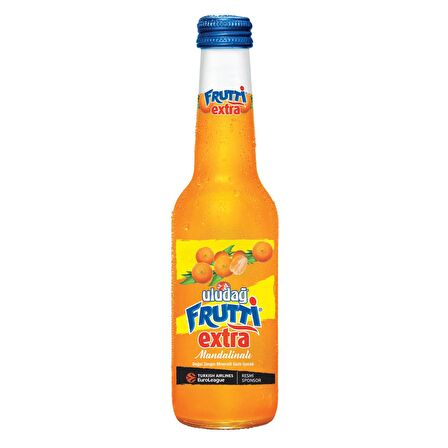 Uludağ Frutti Extra Mandalinalı 250 Ml X 24 Adet