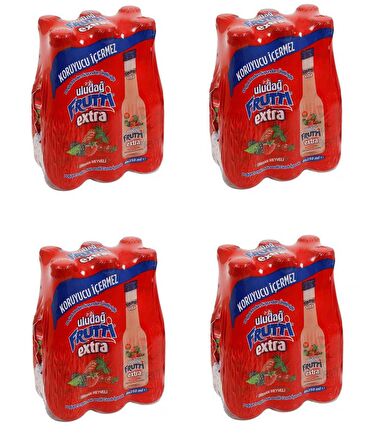 Uludağ Frutti Extra Orman Meyveli 250 Ml X 24 Adet