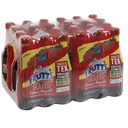 Uludağ Frutti Extra Orman Meyveli 250 Ml X 24 Adet