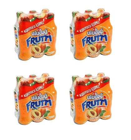 Uludağ Frutti Şeftali Aromalı Maden Suyu 200 Ml X 24 Adet