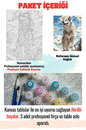 Sayılarla Boyama Tuval Seti Fırça Boya Dahil (Çıtalı) 40x50 CM - ULUKURT