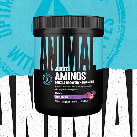 UNİVERSAL ANİMAL Juiced Aminos Bcaa + Recovery