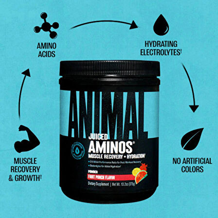 UNİVERSAL ANİMAL Juiced Aminos Bcaa + Recovery