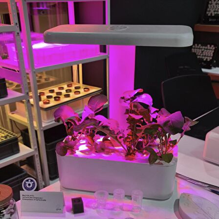 UPTECHLABS: U-Herb Smart Garden, Grow Light, Akıllı Bahçe, Hidroponik, Bitki Yetiştirme Sistemi