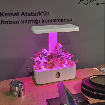 UPTECHLABS: U-Herb Smart Garden, Grow Light, Akıllı Bahçe, Hidroponik, Bitki Yetiştirme Sistemi