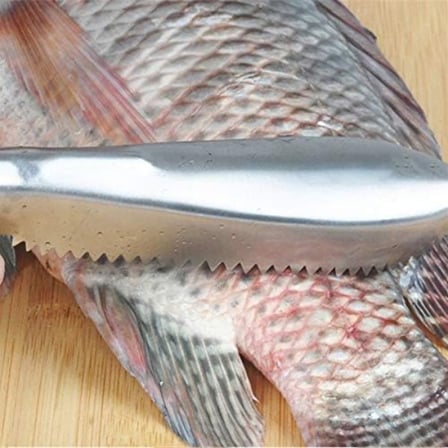 Premium Pratik Balık Pulu Kazıyıcı Aparat Ev Aletleri İşlevsel Araç Mutfak Ekipmanı