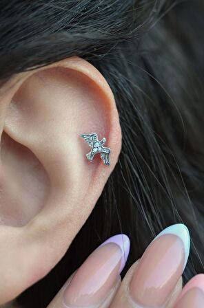 Gümüş Renkli Çelik Kırlangıç Kuşu Helix Piercing Kıkırdak Lob