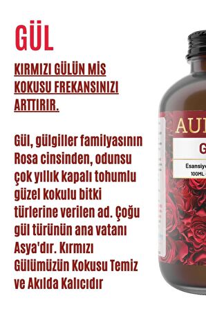 Gül Esansiyel Uçucu Koku Yağı Buhurdanlık Yağı Difüzör Esansı Hobi Esans Ortam Oda 100ml
