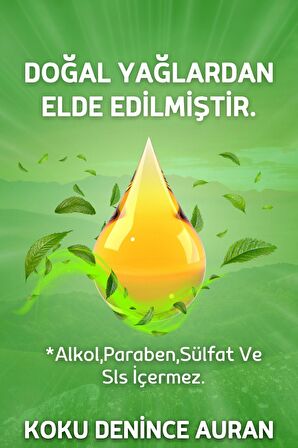 Yağmur Ormanları Saf Esansiyel Uçucu Yağ Buhurdanlık Yağı Difüzör Esansı Aromaterapi Ortam 100ml