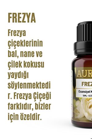 Frezya Esansiyel Uçucu Koku Yağı Buhurdanlık Yağı Hava Nemlendirici Esansı Aromaterapi Esans 100ml