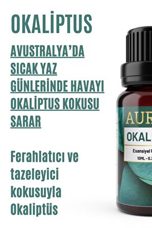 Okaliptus Esansiyel Uçucu Koku Yağı Buhurdanlık Yağı Difüzör Esansı Hobi Esans Ortam Oda Kokusu 10ml