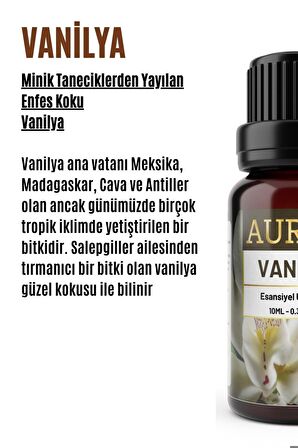 Vanilya Esansiyel Uçucu Koku Yağı Buhurdanlık Yağı Difüzör Esansı Hobi Esans Ortam Oda Kokusu 10ml