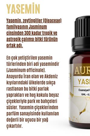 Yasemin Esansiyel Uçucu Koku Yağı Buhurdanlık Yağı Difüzör Esansı Hobi Esans Ortam Oda Kokusu 10ml