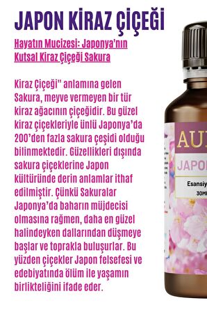 Japon Kirazı Esansiyel Uçucu Koku Yağı Buhurdanlık Yağı Difüzör Esansı Hobi Esans Ortam Oda 30ml