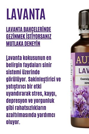 Lavanta Esansiyel Uçucu Koku Yağı Buhurdanlık Yağı Difüzör Esansı Hobi Esans Ortam Oda Kokusu 30ml