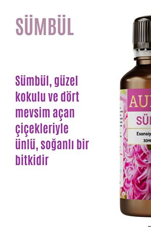 Sümbül Esansiyel Uçucu Koku Yağı Buhurdanlık Yağı Difüzör Esansı Hobi Esans Ortam Oda Kokusu 30ml