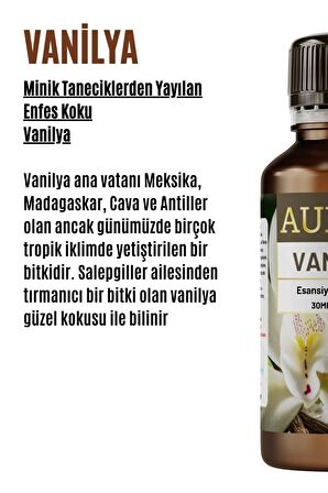 Vanilya Esansiyel Uçucu Koku Yağı Buhurdanlık Yağı Difüzör Esansı Hobi Esans Ortam Oda Kokusu 30ml